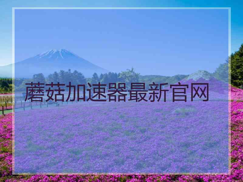 蘑菇加速器最新官网